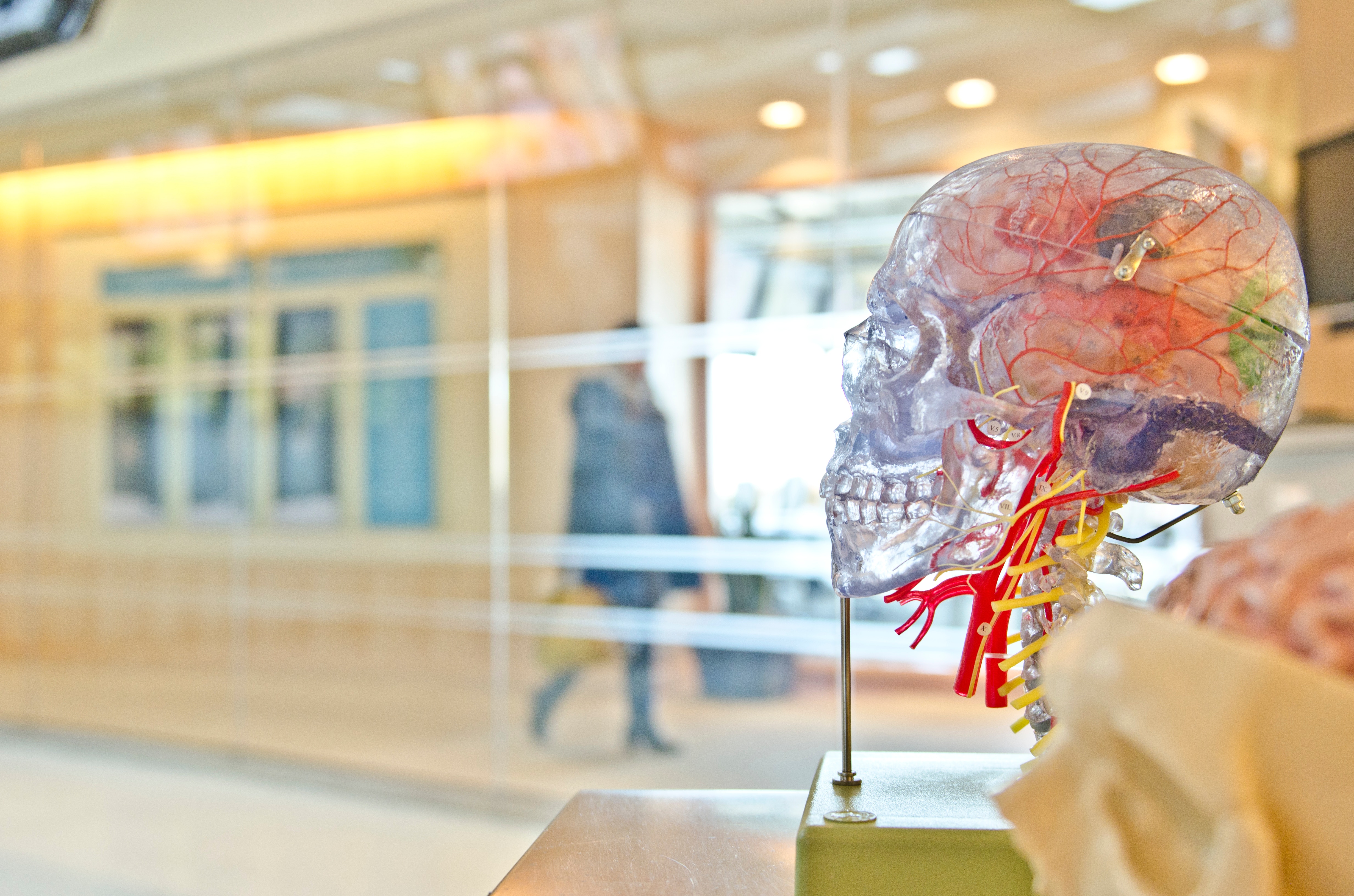 neuropsychologie Bruxelles brabant